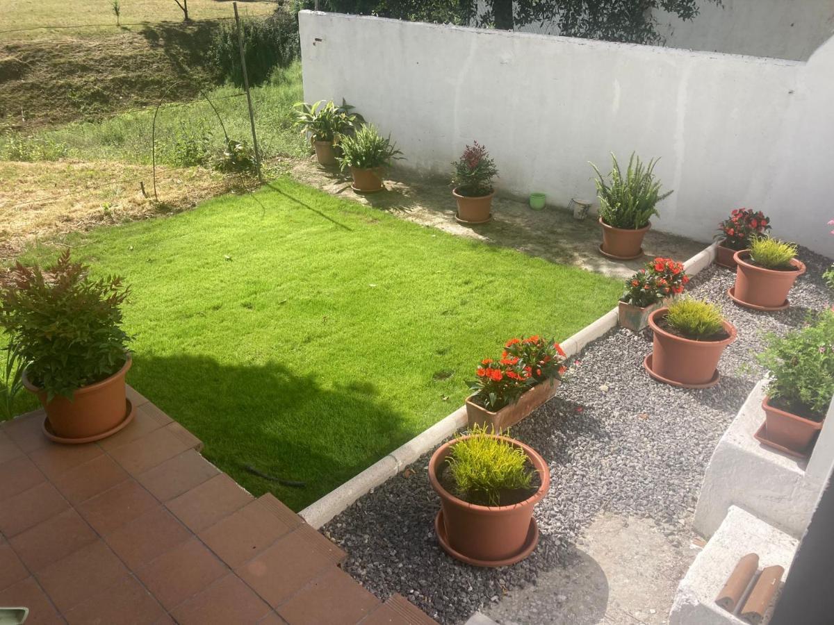 Apartamento Con Jardin En El Oviedo Antiguo Bagian luar foto